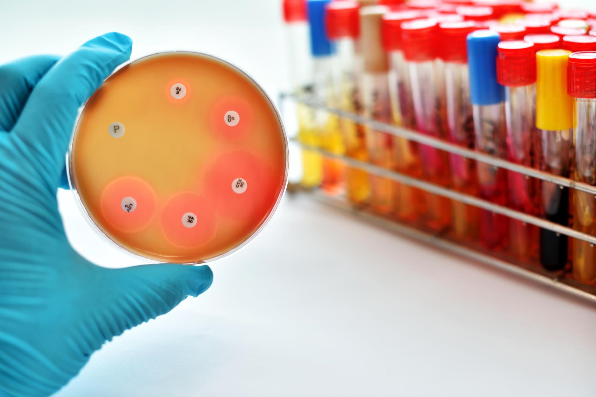 nova-chem-anti-bakteriyel-001