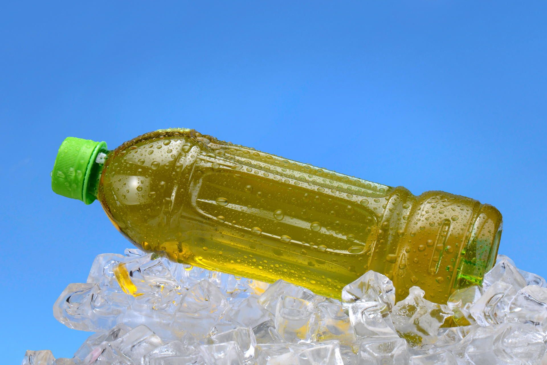 nova-chem-soguk-cay-001